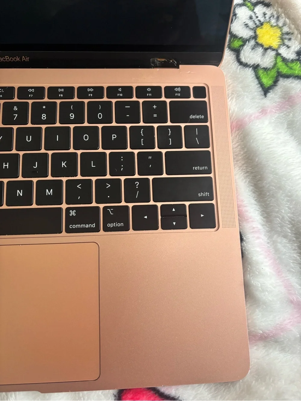 Apple MacBook in Rose Gold